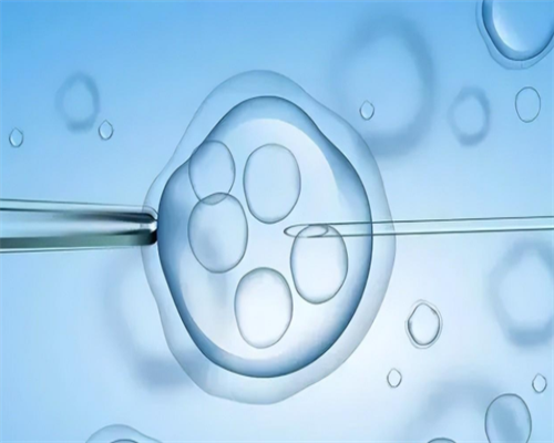 深圳代孕协议的法律效力~输卵管发育不良引发宫