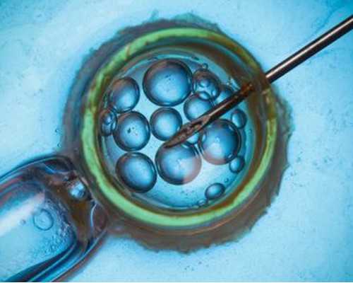 广东代生经历，广东三代试管包生男孩