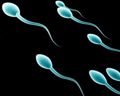 深圳代孕价格-深圳助孕-深圳代孕手术得多少钱