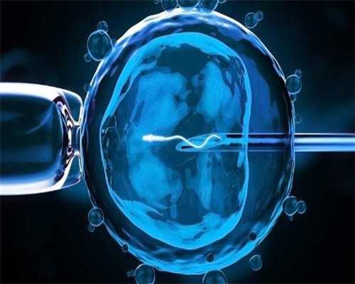 瓜子有什么营养价值