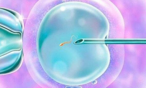 深圳代孕公司地址_深圳要找代孕公司【深圳科学