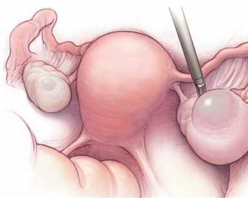 奶粉进口关税上调有可能成为奶粉企业涨价理由