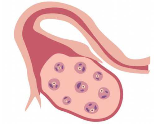 深圳代孕想要孩子_深圳代孕双胞胎的公司_怀孕牙漏神经了怎么办
