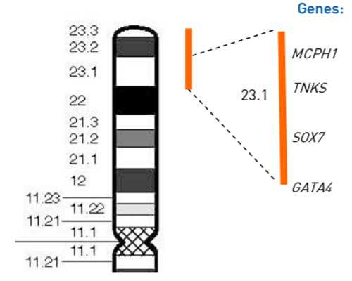 深圳代孕妈妈可要孩子吗_孕晚期经常爬楼梯容易
