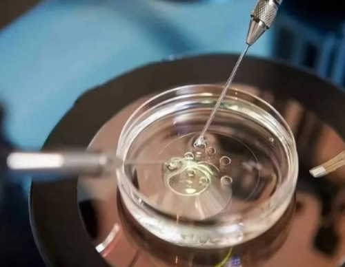 深圳代孕成功率-深圳合法的代孕费用哪里好-怀孕6个月喝一杯啤酒怎么办