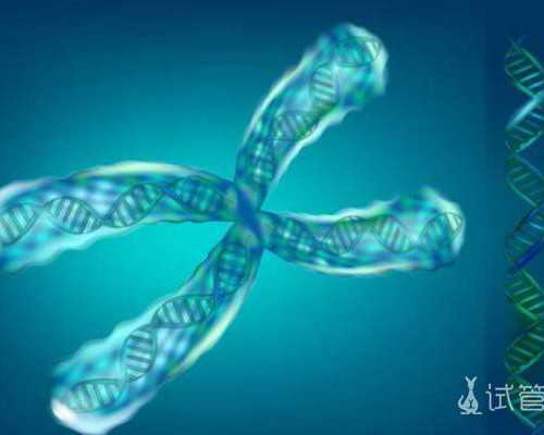 2013国庆到深圳旅游推荐