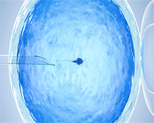 深圳代孕价格_深圳代孕全包协议内容_深圳代孕哪家做得好