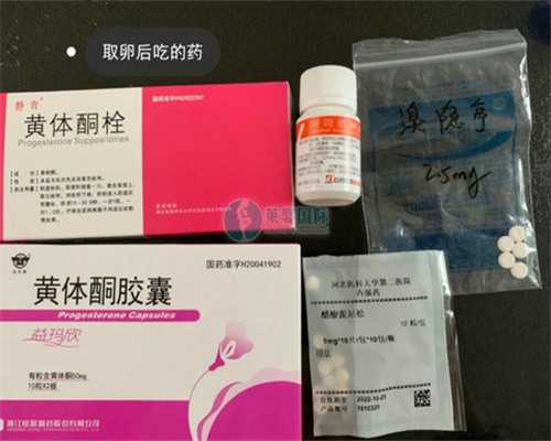 代孕网咨询电话多少_早安武汉 | 友谊大道启动