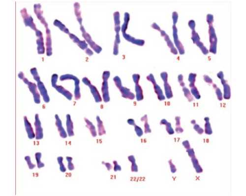 2026厦门做供卵试管最好医院排名新鲜出炉!附最新助孕费用及成功率