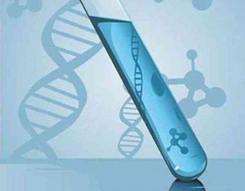 宁夏供卵价格一般多少,【深圳供卵流程 深圳供卵价格】说说自己的备孕两年半