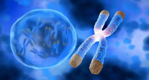 哪家做代孕试管好:内分泌异常可导致男性不育