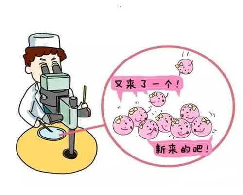 深圳代孕价格_深圳怎样可以代孕呢_备孕期锻炼有什么好处