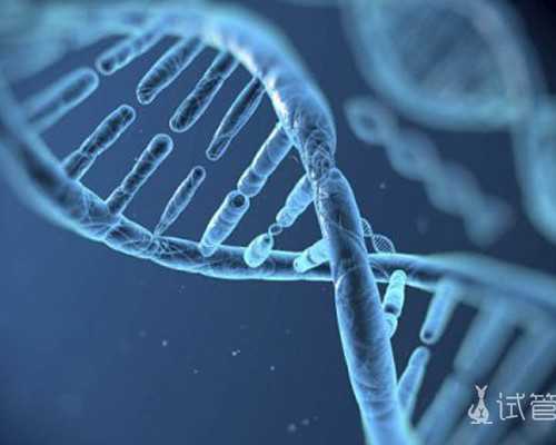 代孕妈妈如何收费-好_代孕专业诊疗_吉娜坦言去