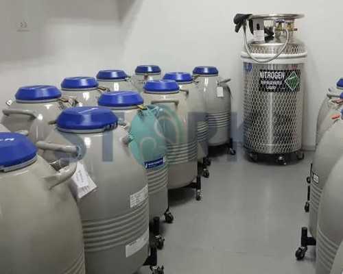 孕妇能不能吃蟹