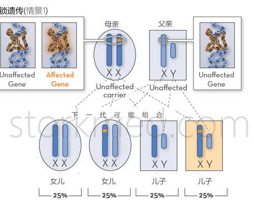 深圳代孕产子靠谱吗-深圳代孕中心哪间权威【深圳科学代孕，助你圆妈妈梦】
