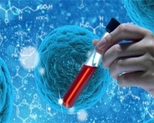 广东冬至吃什么火锅？火锅种类还真不少