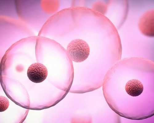 绥芬河代孕医院_绥芬河代孕帮生孩子_绥芬河代怀