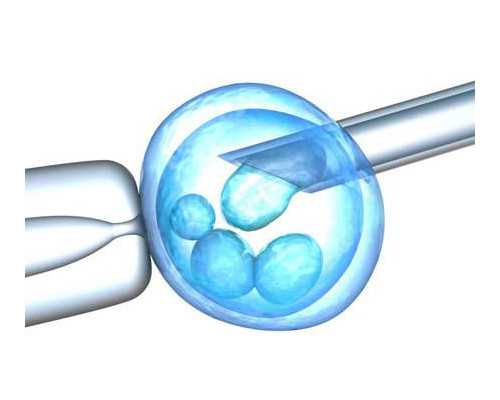 深圳代孕网-深圳代孕机构-老人们一些生男孩子的饮食方法