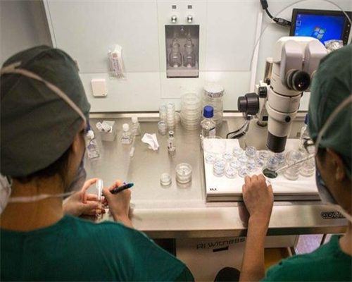 代孕孩子户口_代孕八个月可以喝酒吗