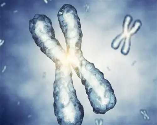 深圳找代孕_深圳谁需要代孕联系我【深圳专业代孕,孕育梦想我来圆】