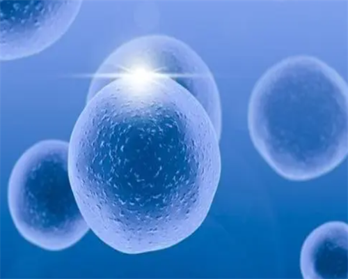 深圳能做供卵试管的医院有哪些