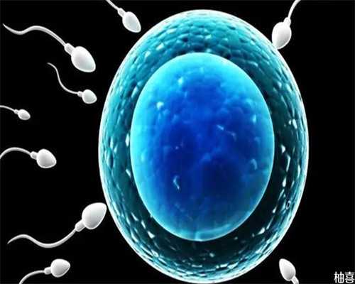 深圳代怀宝宝_借卵代怀【权威专家指导，精准代孕成功率高。】