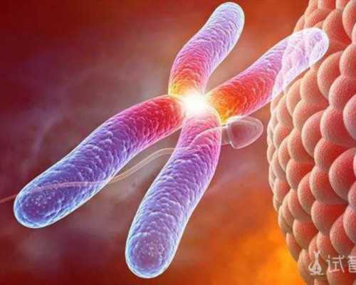 深圳供卵哪里可以提供,深圳供卵代怀经历