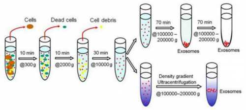 石家庄二院供卵,河北石家庄首例新型肺炎