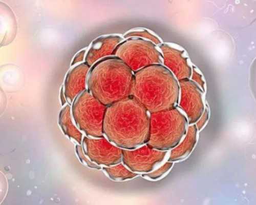 深圳代孕的孩子的血缘关系～深圳双胞胎捐卵试