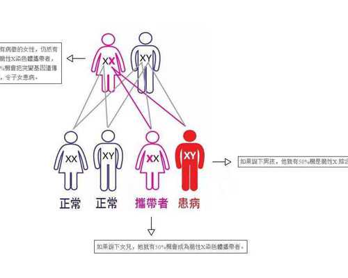 深圳代孕有哪几种_深圳正规的代孕妈妈公司_孕期各阶段的营养需求有哪些