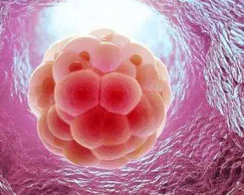 深圳代孕套餐-深圳代孕孩子的教育-深圳专业代孕多少钱