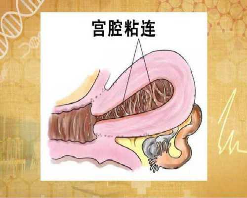 可爱的创意小名大全