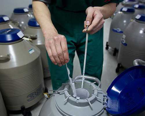 深圳试管婴儿代孕_深圳代孕需要什么体俭【深圳权威代孕，爱孕新生】