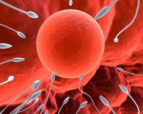 深圳民营供卵机构,借卵供卵公司机构