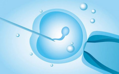 诚信代孕公司·靠谱代孕·不开玩笑！代孕期间有