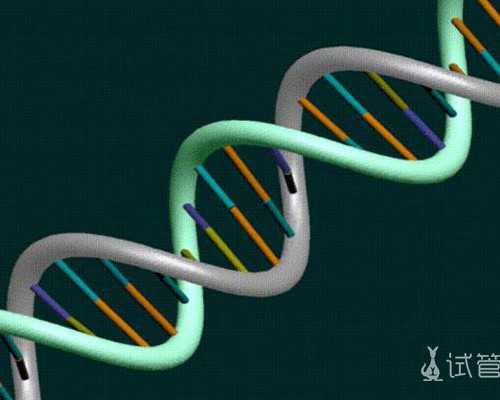 深圳民治附近助孕医院,深圳西乡恒生医院是公立还是私立?