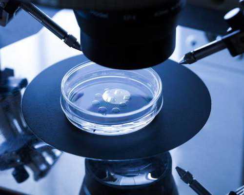 深圳代孕女联系电话-深圳代孕妈妈如何报名【不走“孕”？我们给你好孕】