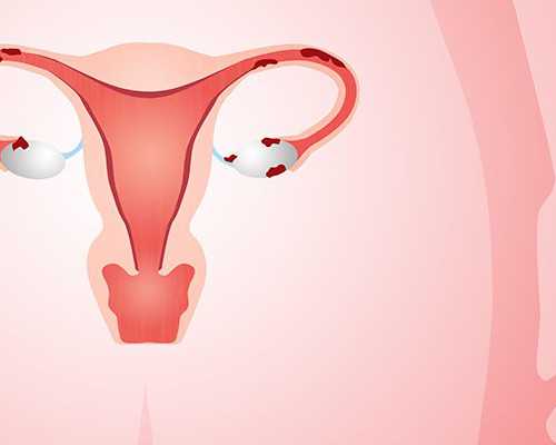 深圳怎样才能找到人代生孩子,深圳哪里试管可