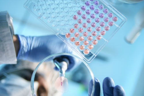 庆阳供卵试管哪里好_看一看制定冬季健身计划 _庆阳借卵生子中国允许吗