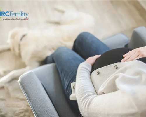 深圳国内代怀机构_深圳助孕中心_深圳代怀宝宝