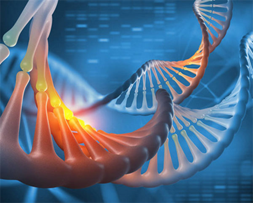 宁波代孕价格包性别,深圳三代试管包生男孩价格?深圳做试管包男孩费用