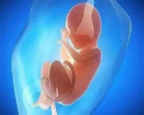 代生咨询有助孕中介吗