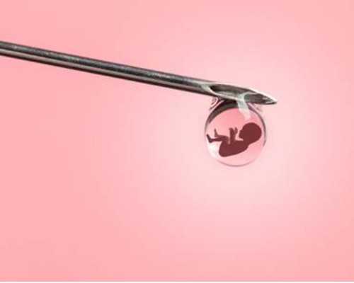 代孕总计费用要多少钱,代孕中期可以吃桃子吗