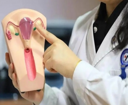 深圳代孕产子费用_深圳三代试管选性别要多少钱