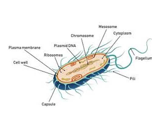 成都供卵试管者报酬,福医附一医院供卵试管婴儿单次成功率有多少？