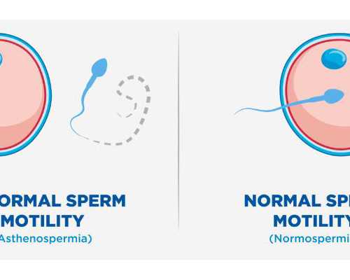 广东代生小孩产子,广东陪产假多少天?2026广东陪产假有哪些规定?