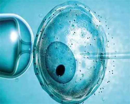 常宁专业试管代怀孕包性别_44岁高龄供卵自怀成