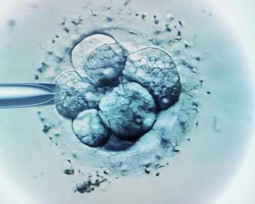 供卵合法吗_-弱精可以代怀吗