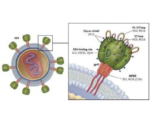 济南960医院试管婴儿费用会很高吗？2026年花费明细表