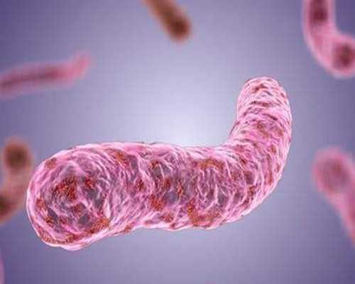 深圳代孕价格_深圳代孕公司哪家诚信_深圳代孕双胞胎